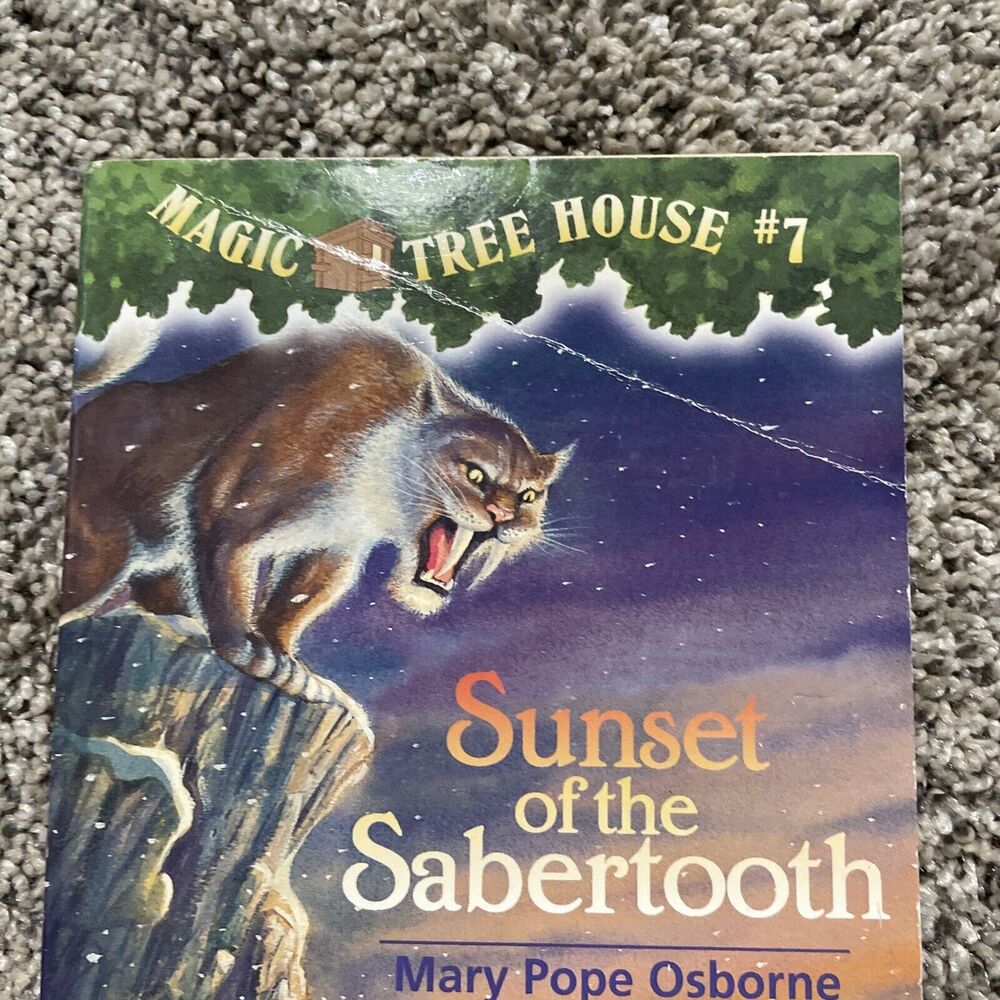 Magic Tree House lot of 19 assorted kids chapter Books complete paperback -GOOD - Picture 5 of 9